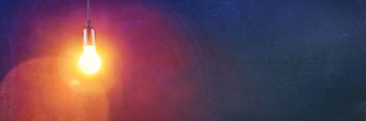 宠物培训学校前十