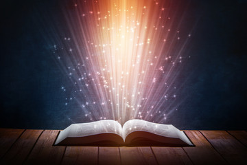 宠物培训学校前十