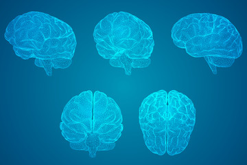 10个生活常见科学例子