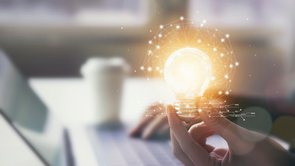 宠物培训学校前十