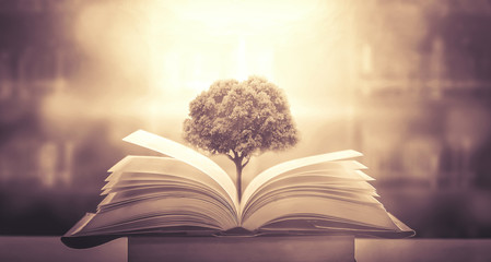 小学生防震安全常识十条是什么-