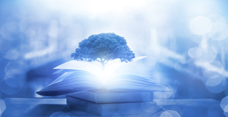 发动机油耗高怎么解决