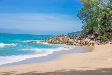 宠物培训学校前十