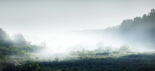 广东茶文化的饮茶习惯