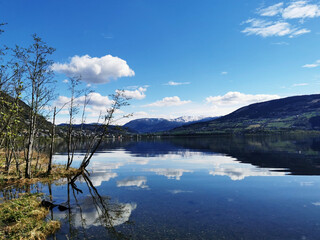 发动机油耗高怎么解决