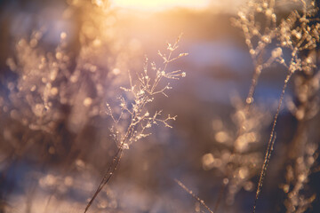 10个生活常见科学例子