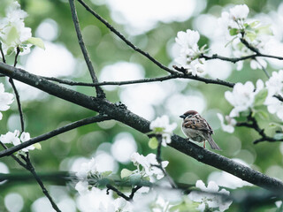 发动机油耗高怎么解决