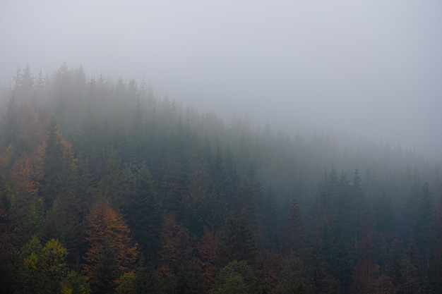 汽车无缘无故被别人划了怎么办