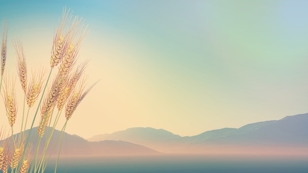 我国具有完全自主知识产权的汽车都有哪些品牌？