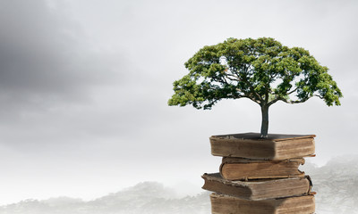 10个生活常见科学例子