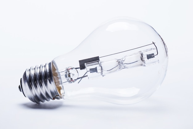 宠物培训学校前十